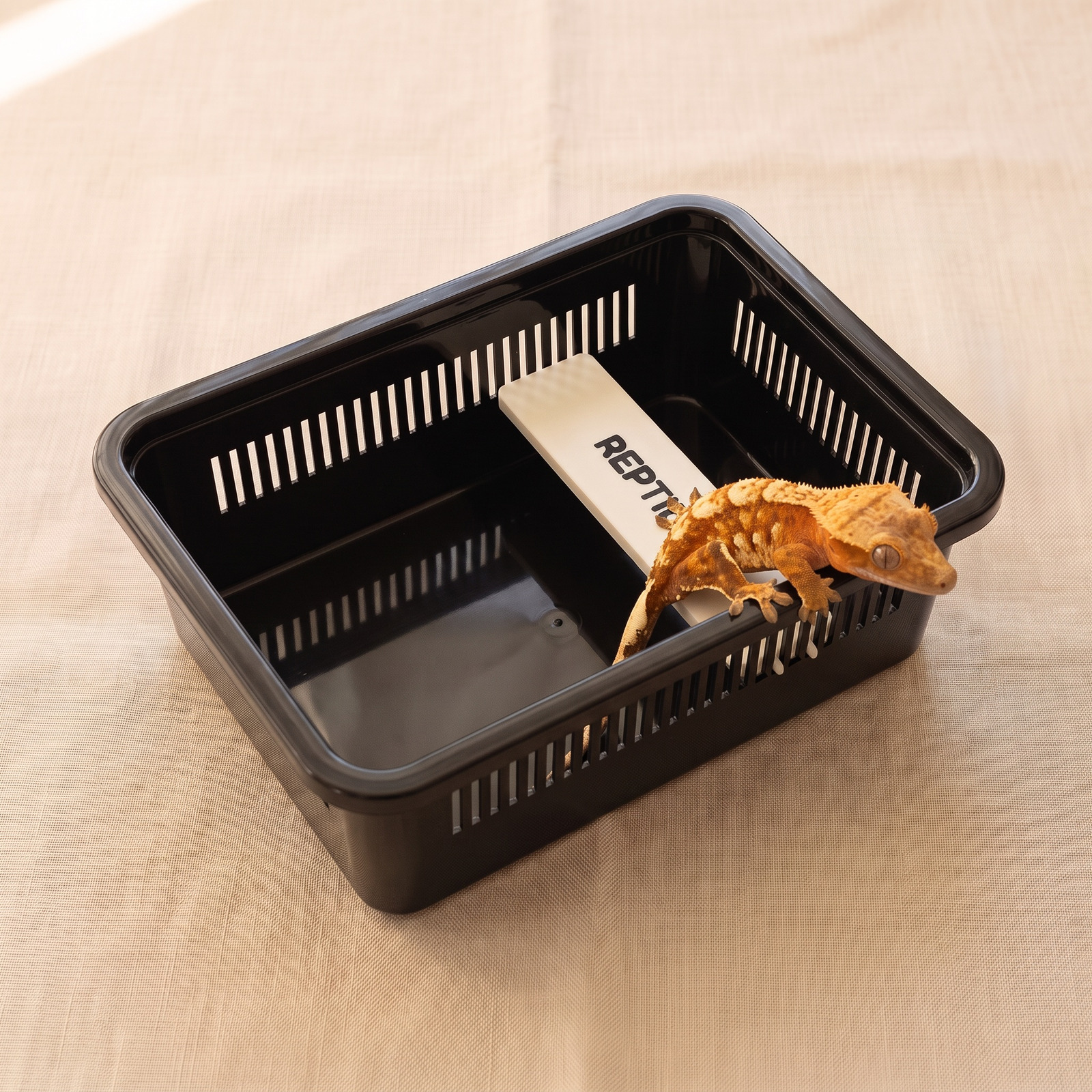 A crested gecko resting on a backup inside a cage, an example of use
