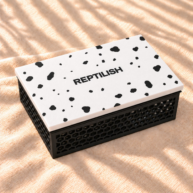 04 Super Dalmatian