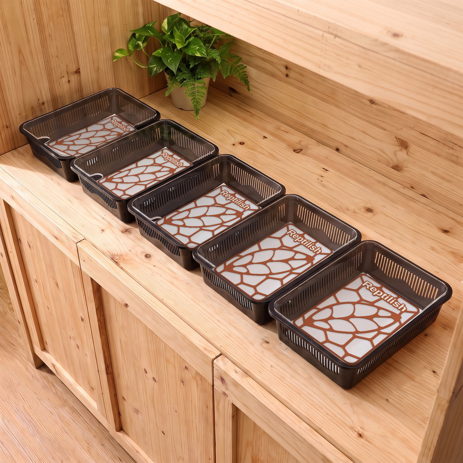 Five black tubs on a wooden shop shelf, with Terracotta Pebble Plates inside
