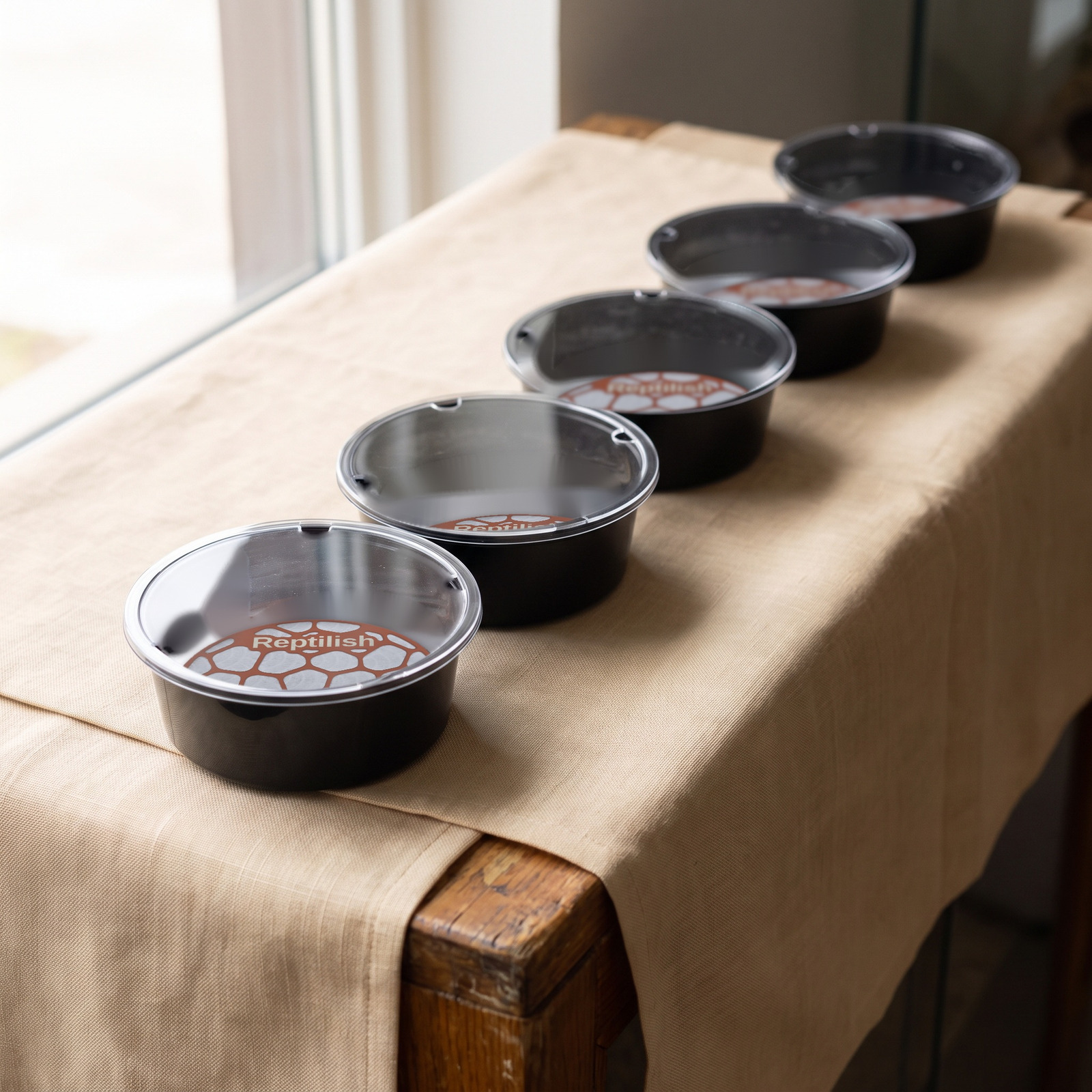 Deli cups with acrylic lids on a shop counter, Terracotta Pebble Plates in front